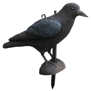 นกต่อสำหรับการล่าสัตว์ von AKAH Lockvogel Krähe 71620000