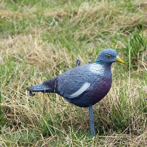นกต่อสำหรับการล่าสัตว์ von AKAH Lockvogel Ringeltaube 71625000