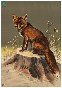 แผ่นเป้าและเป้ายิง von AKAH DJV-Scheibe Nr.3 Fuchs 38302000